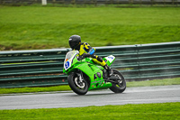 Middle Group Green Bikes